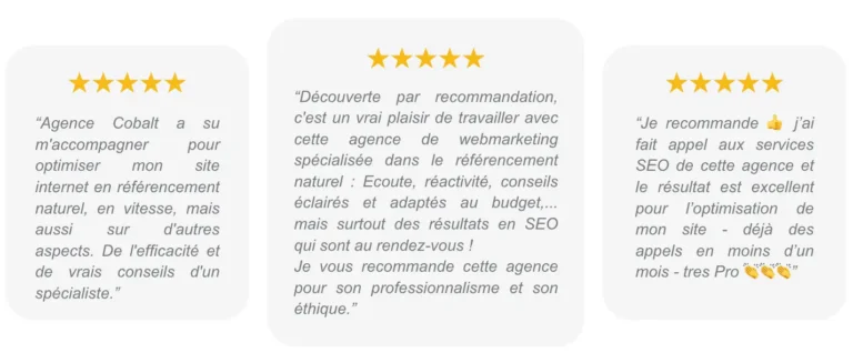 Exemple des avis de l'Agence Cobalt